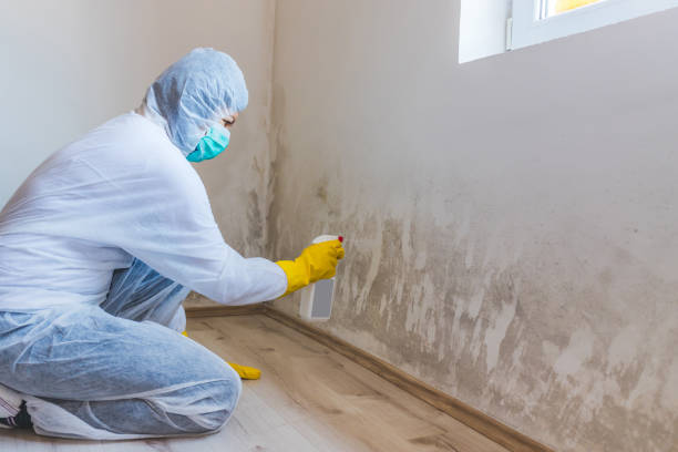 Licensed Crawl Space Mold Removal service in District of Columbia, DC - WQB Mold Removal