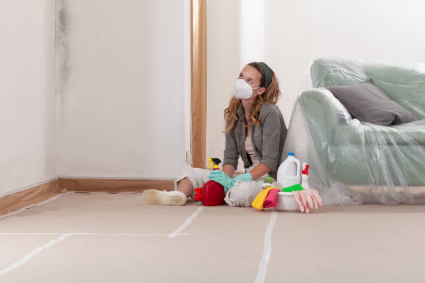 Reliable Crawl Space Mold Removal contractor in District of Columbia, DC by WQB Mold Removal